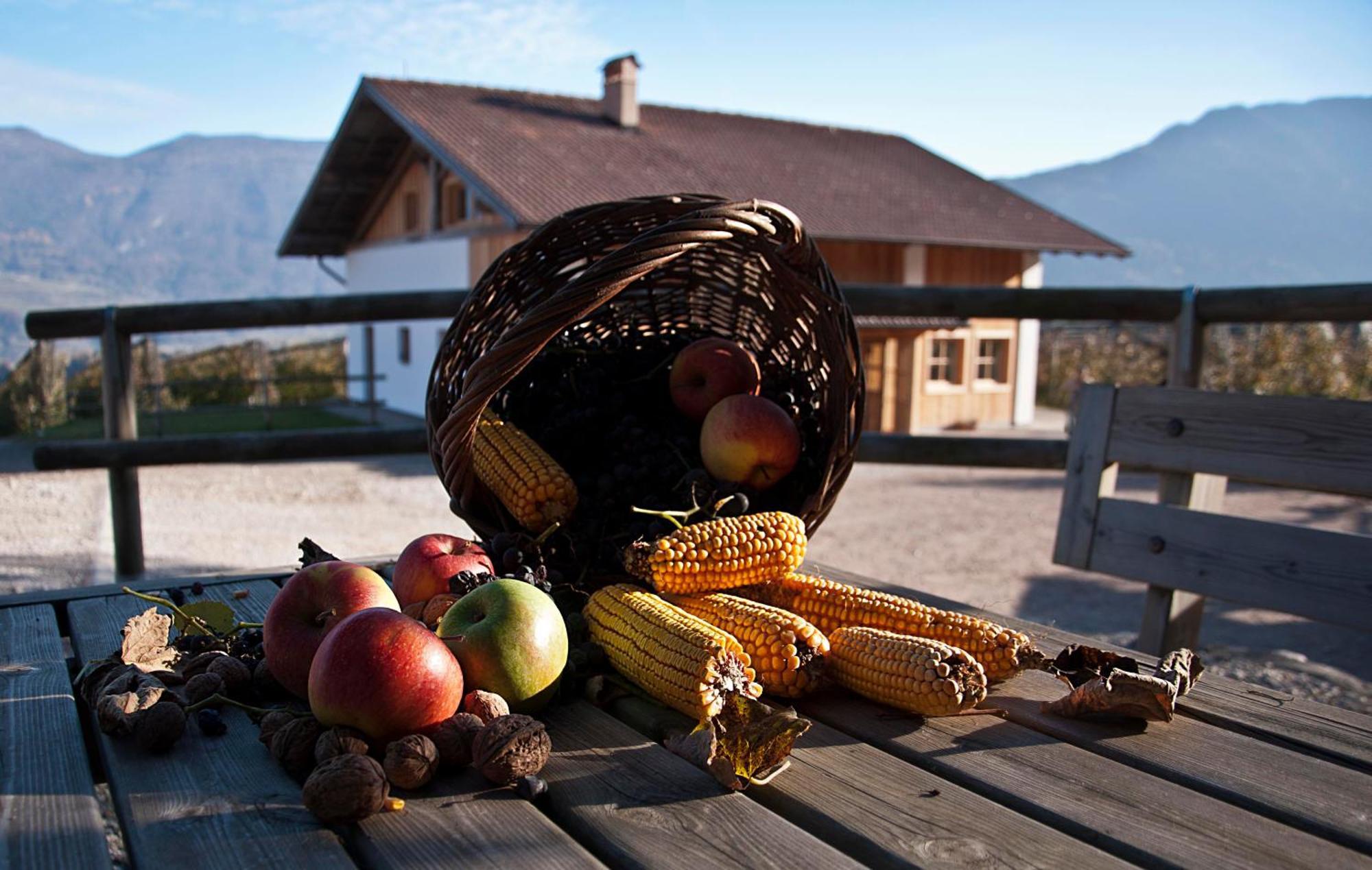 Agritur Maso Pra' Cavai B&B Balbido-rango Exterior photo